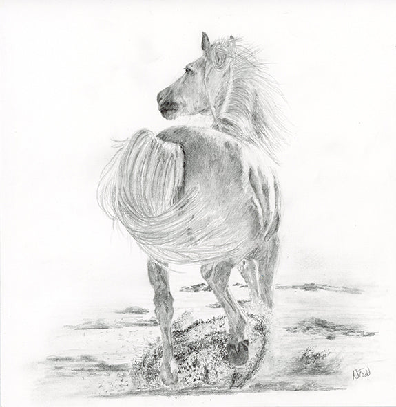 Graphite drawing of a horse cantering across a beach kicking up the sand and still focussed on what is behind him.