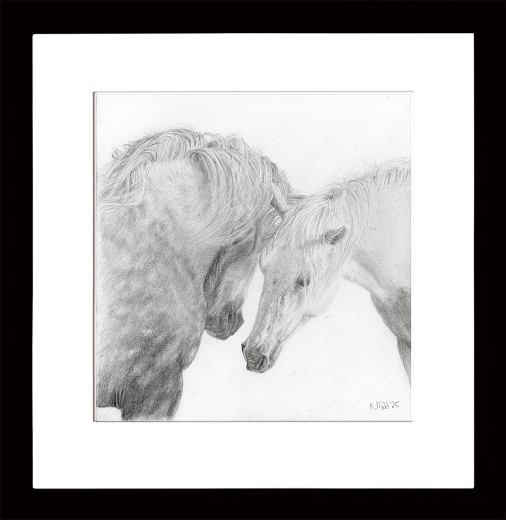Pencil drawing of two horses embracing on a white background