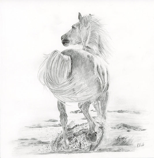 Graphite drawing of a horse cantering across a beach kicking up the sand and still focussed on what is behind him.