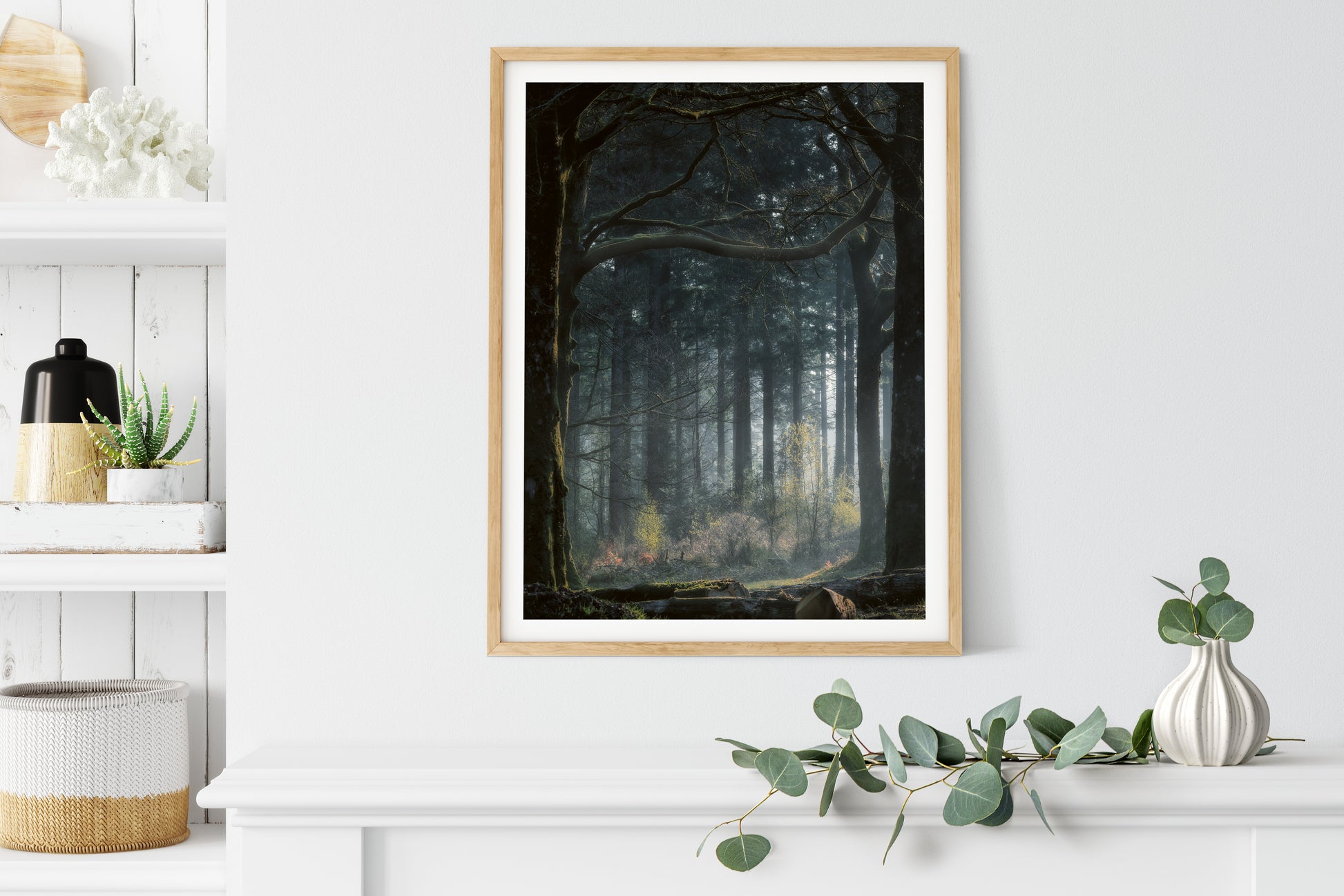 Framed photo of forest scene on a wall